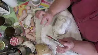 Back to Sanding - the broken doll