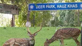 DEER PARK HAUZ KHAS NEW DELHI | MINI ZOO | places to visit in delhi