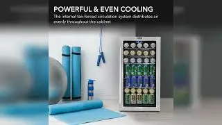 Review: Whynter Beverage Refrigerator with Double-Layer Glass Door, 127-Can 3.1 Cu Ft Freestan...