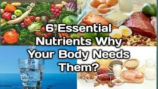 6 Essential Nutrients Why Your Body Needs Them?
