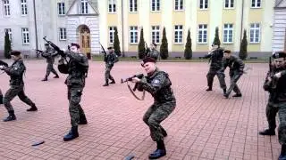 SWSC AMW manual Ak 47