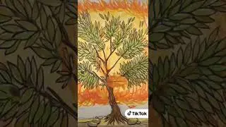 The burning bush! #godsword #godscalling #identity #godcares #godseesyou