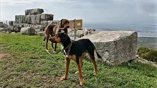 Visit of the sight seeing point 