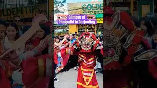 Phulpathi in Darjeeling #PhulpathiInDarjeeling #nepalitradition #dasaivlog
