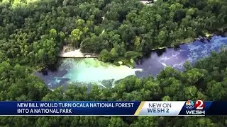New bill could turn Ocala National Forest into a national park
