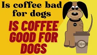 Is coffee bad for dog | Is coffee good for dogs - clear your doubts