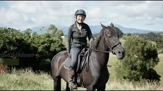Taranaki Equestrian Facilities Plan