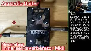 【エフェクター】Neunaber Immerse Reverberator MkII+Acoustic Guitar