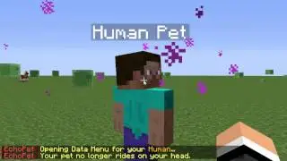 Minecraft Bukkit Plugin Tutorial   Echo Pets!