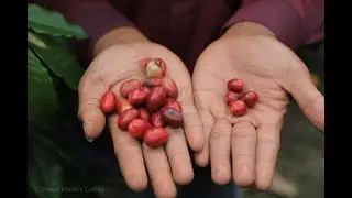 Sumatra: Aceh in October (Long Edit)