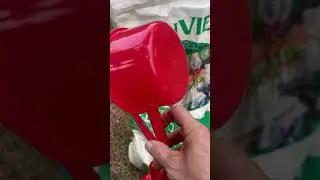How To Fertilize Fruit Trees #redbirdgardeninganddesign  #andnowyouknow