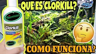 Que es CLORKILL? Funciona en el Acuario? que Elimina? | AQUA RC |