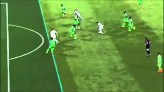 (BiH vs. Nigeria) Edin Dđeko Offside Goal - World Cup 2014