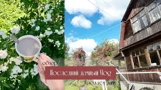 Последний дачный Vlog | Продали дачу