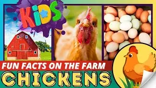 CHICKEN FACTS GAME for kids! |  FARM UNIT | Kindergarten Learning | Preschool ESL Videos