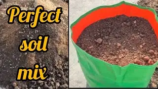 Garden Soil Mix तयार कसा कराल? #soil mix for plant #soiltips #plants #gardeningideas 