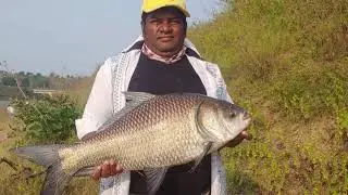 Amazing  big katla fish catch 🎣 | bocha fish | Singhshikaar | kareemnagar fishing🐠🐠