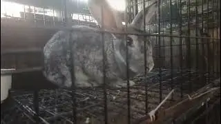 ¨Después de la lluvia...así encontré mi granja¨