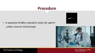 Testicular Sperm Extraction (TESE)- What Every Patient Needs to Know