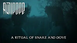 ANTIPOPE 