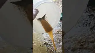 Dirty well water lines clogged with iron correct filter installation