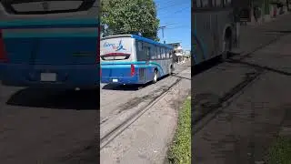 Astro new 510 #automobile #busologia #travel #simuladotdeonibus#flechabus #autobusesmexicanos#cumbia
