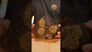 Making A $500 Steak For My Kids #shorts #cooking #recipe