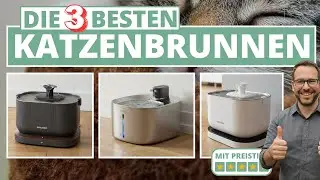 Die 3 besten Katzenbrunnen - Meine Empfehlungen