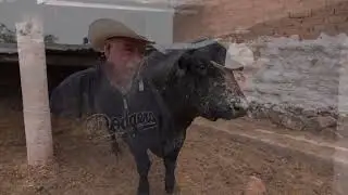 Visita al gran amigo  Mariano Ureño