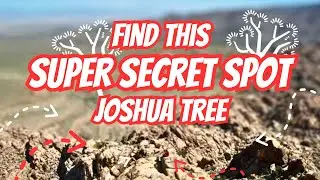 SECRET SPOT IN JOSHUA TREE! Class 3 Route, Scrambling!