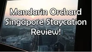 Mandarin Orchard Singapore Staycation Review! | 2bearbear.com