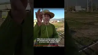 Traditional Games of Chilean Independence Day