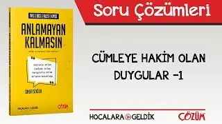 Anlamayan Kalmasın -  Cümleye Hakim Olan Duygular -1 Soru Çözümleri
