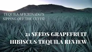 21 Seeds Grapefruit Hibiscus Tequila Review
