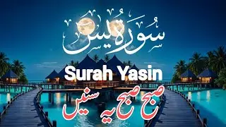 Surah Yaseen Full Recitation | Heart Touching Tilawat | Surah Yasin for Peace & Barakah