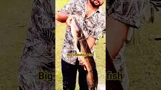 How to catch snakehead fish #viral #snakehead #fishing #outdoors #adventure #noorfishing #shorts