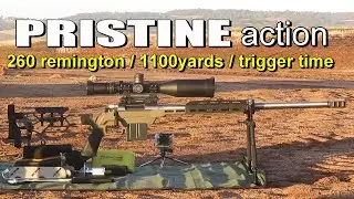 Some trigger time with the PRISTINE action