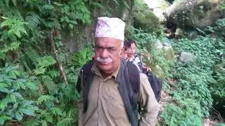 Medicinal plants of Nepal : plants identification ! (Plants and Herbs)