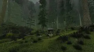 Sleep in The Middle of a Rainy Forest - | Rain Sounds 8 Hours