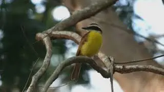 Discover Oklahoma's Stunning Nature and Wildlife