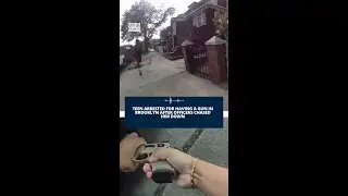 ВИДЕО С ТЕЛЕФОНА: Полиция преследует 15-летнего подозреваемого и изымает пистолет в Бруклине