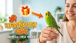 আপনি পেতে পারেন বাজিগর পাখি ফ্রী  🎁 | সত্যিই ফ্রি😲@AmaraPakhi 