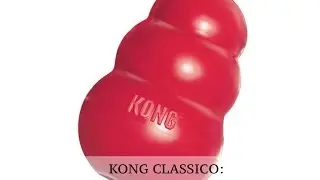 KONG per cani, come usarlo, che cibo mettere nel kong, che misura di kong comprare