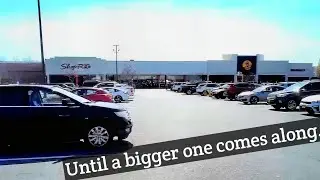 Supermarket Checkout: Saker's Wacky Wild Cartoon-Style ShopRite- Manahawkin, NJ