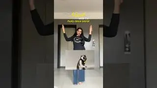 Husky dog dance | dance tutorial | viral #huskydog #dancetutorial #ytviralshorts