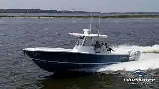 2024 Regulator 31