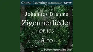 He, Zigeuner, greife in die Saiten ein!-Alto