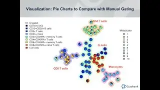 Webinar: FlowSOM in Cytobank with Sofie Van Gassen