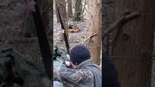 3d Rat - Kill Shot - Alternate View.