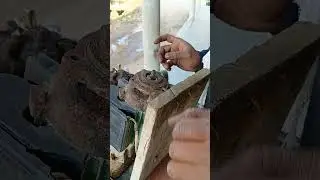Oil Seal Kaise Dale Pani Motor Mein | Full Practical Video #electricalguru